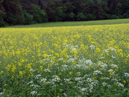Wandertag 2010